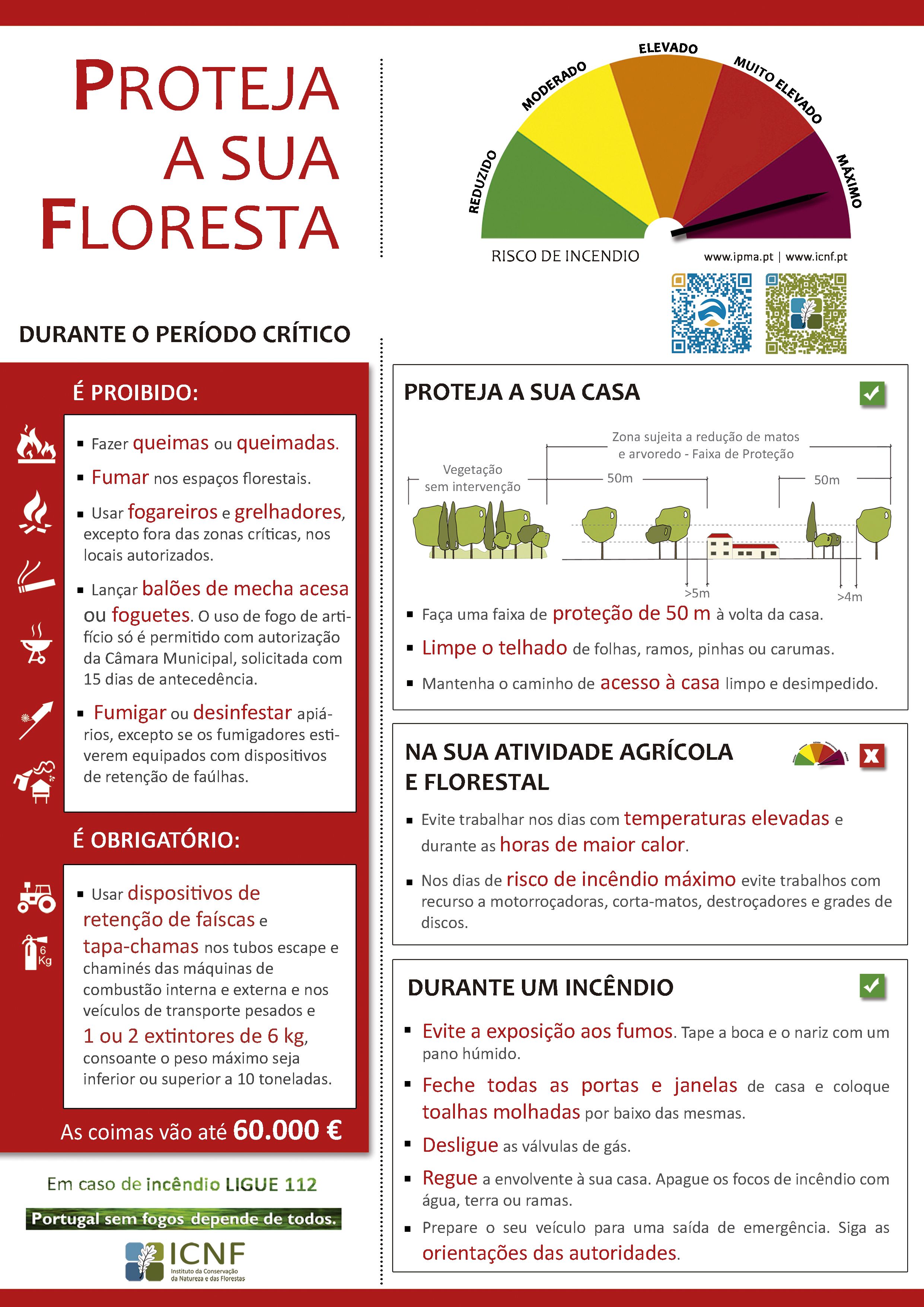 flyer 2017 PeriodoCritico