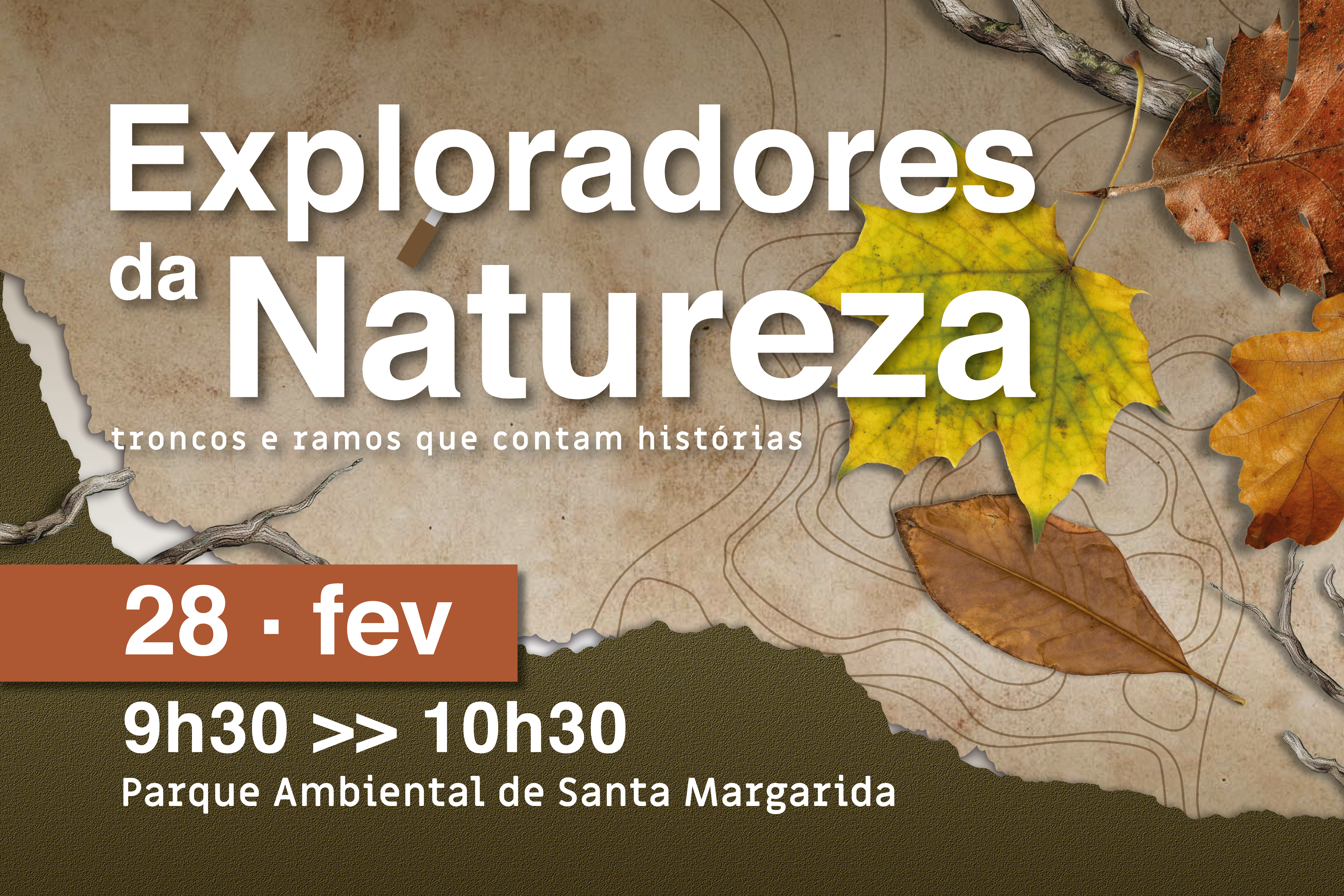 Exploradores na Natureza este mês «Troncos e ramos que contam histórias»