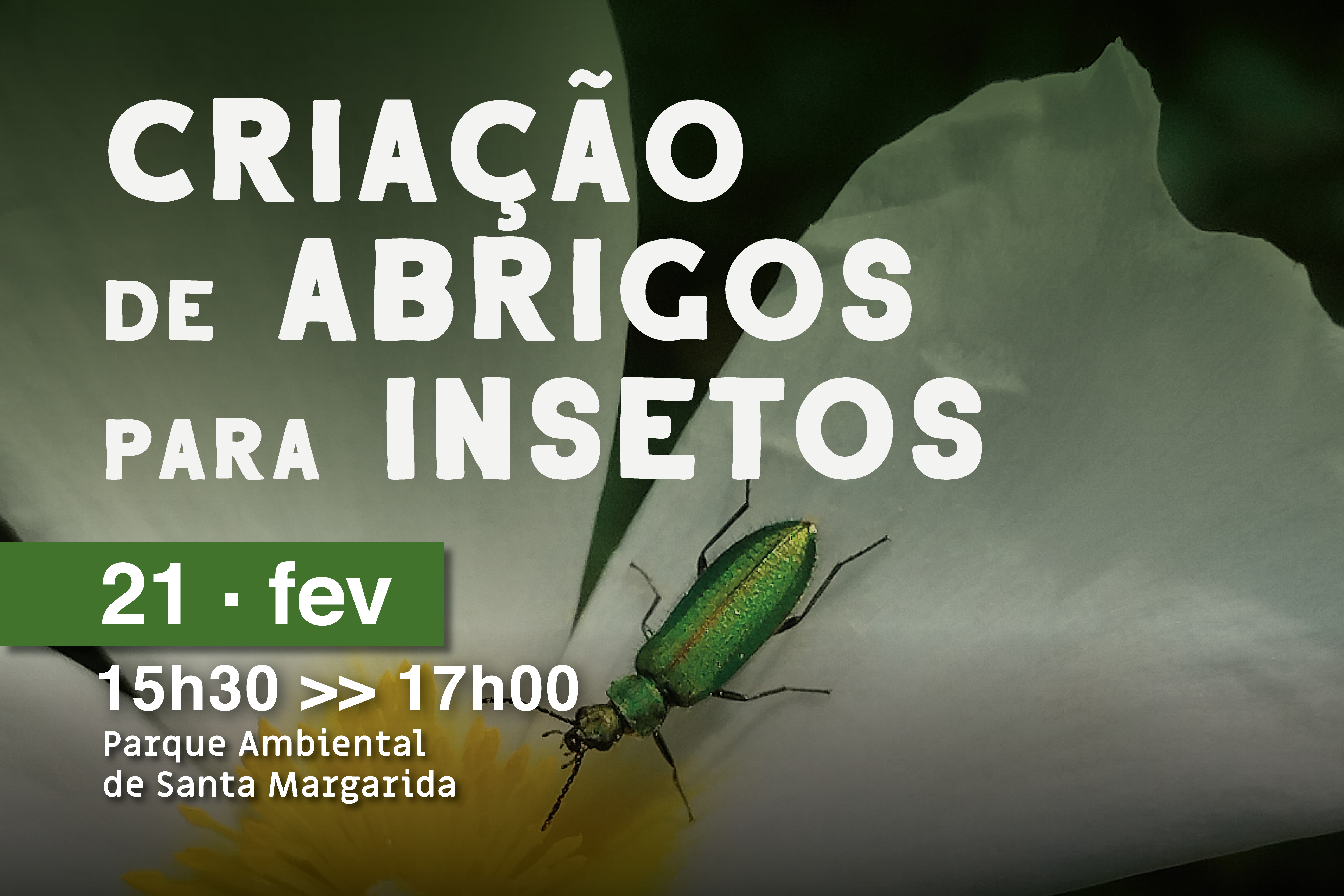 Será que podemos ajudar os Insetos? Oficina Criação de Abrigos para os Insetos no próximo dia 21 de fevereiro