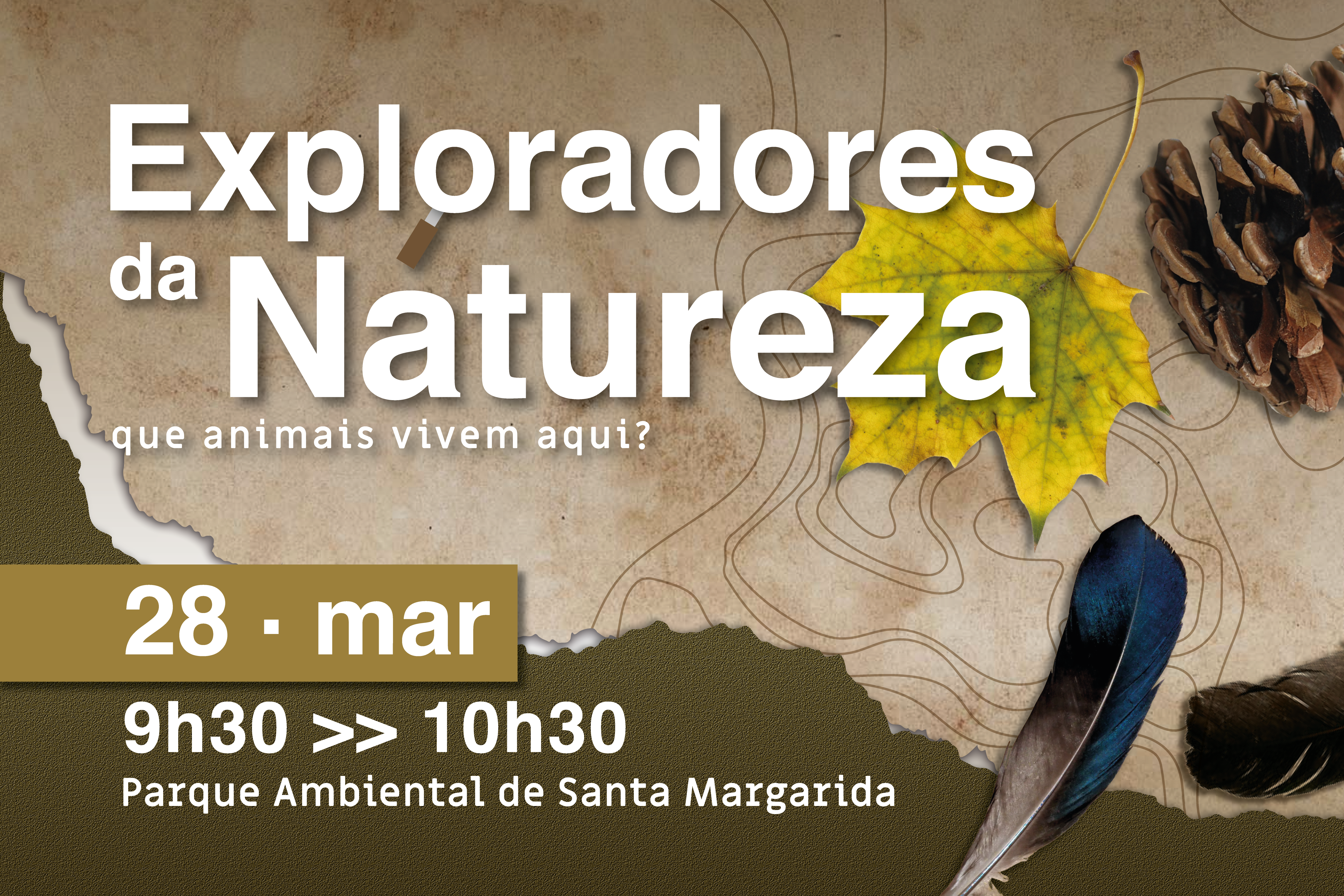 Exploradores na Natureza este mês «Que animais vivem aqui?»